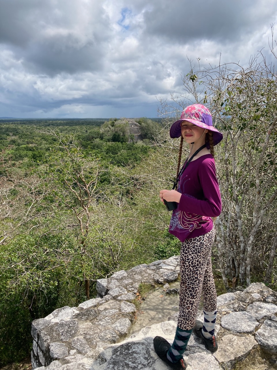 On Structure 2 at Calakmul