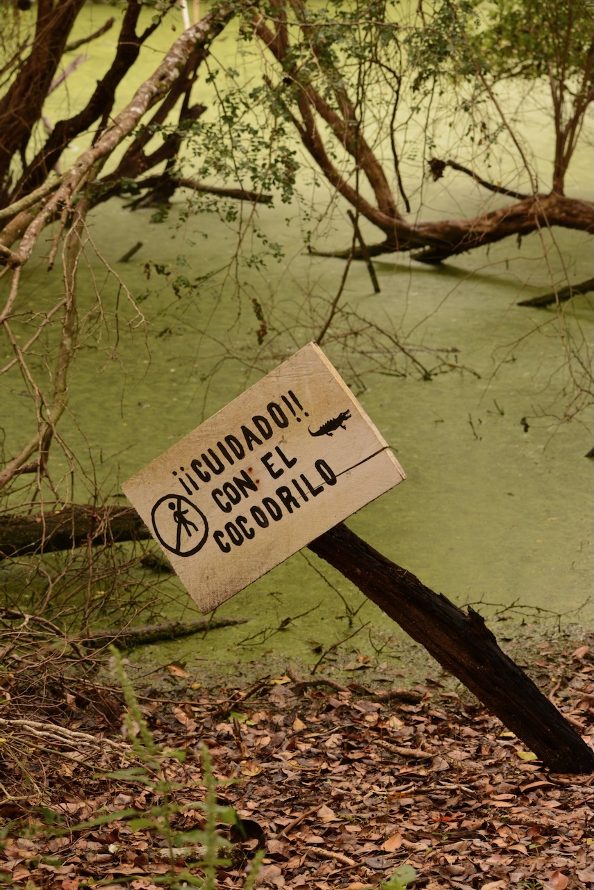 Beware of the Crocodile sign