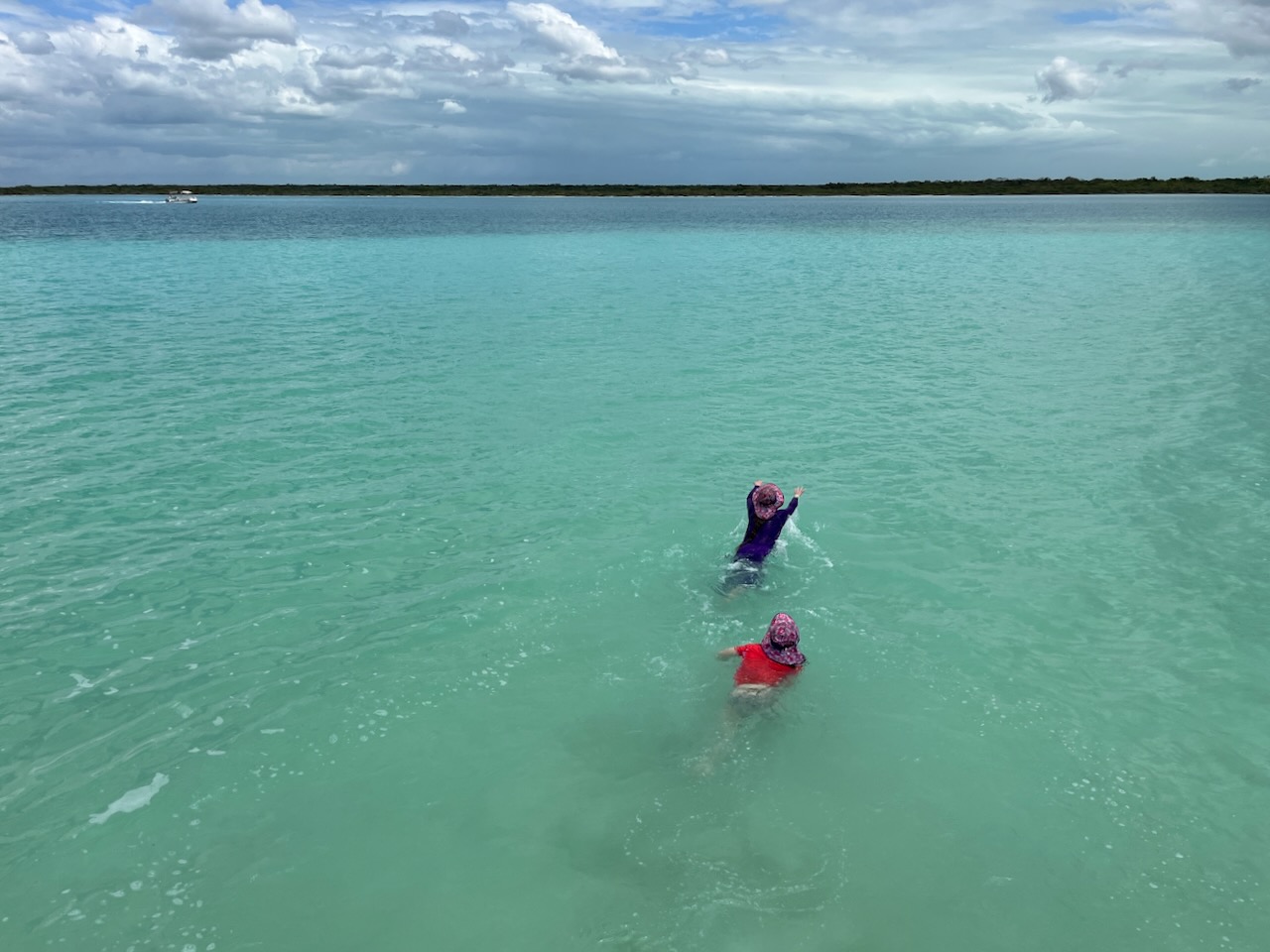 Wallowing in the laguna